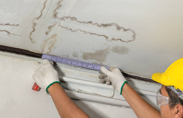 Reliable Mold Remediation contractor in Houghton Lake Heights, MI by Water Damage Irwin